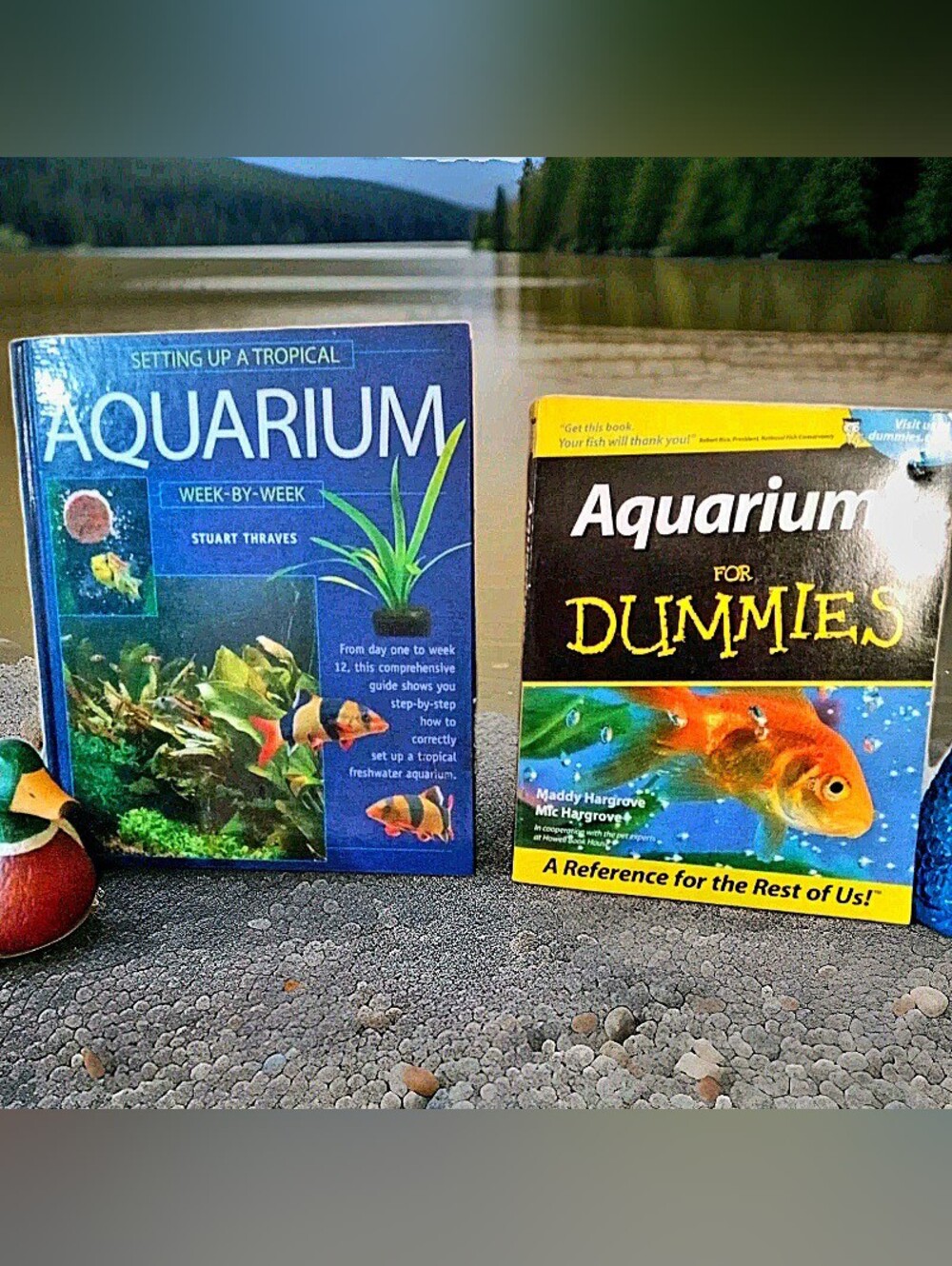 🐡Aquariums For Dummies & 12-Week Tropical Fish Tank Set Up Guide Book Bundle 🐟